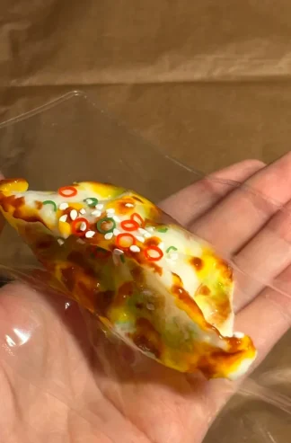 Pizza Dumpling Squishy